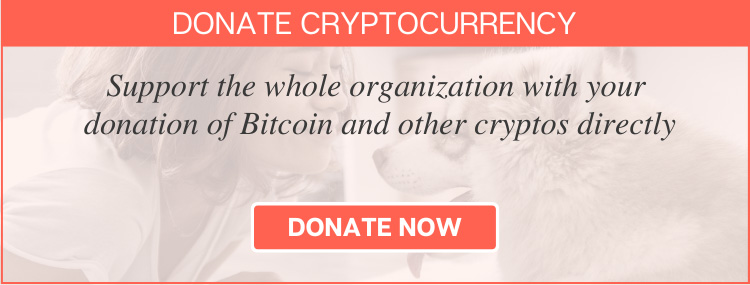 Donate: Cryptocurrency