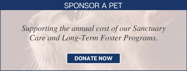 Donate: Sponsor a Pet